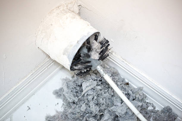 Best Home Air Vent Cleaning  in Virginia Beach, VA
